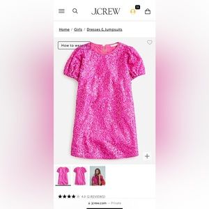 J.Crew sequin dress NWT